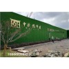 新闻:塑料草环保装饰墙供货源头@密度高天津津南