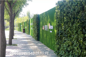 青岛地区塑胶草皮围墙-草坪评价优
