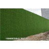 青岛地区市政墙围塑料草皮-人造草坪制造博翔远人造草坪厂