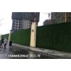山东青岛市房地产项目围墙人工草皮-人造草坪厂家发货