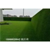 青岛地区仿真植物立面装饰墙-人工草皮的作用