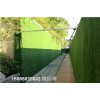 山东青岛市绿色草皮墙面-人工草皮绿化环保