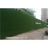 山东青岛市环保围墙塑料草皮-人工草皮零售博翔远人造草坪公司