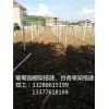 新闻:广州葡萄水泥柱搭建_广州葡萄架建造(推荐阅读)