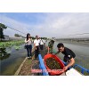 新闻:澳洲淡水龙虾养殖利润_澳洲淡水虾苗价格_-无锡龙澳生态