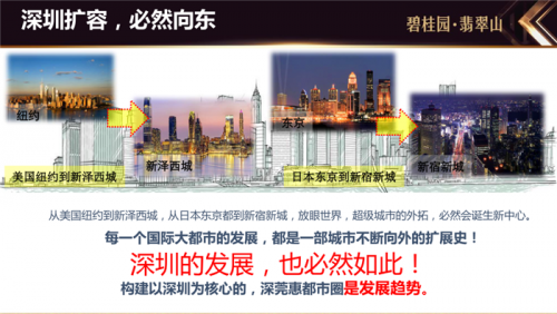 广东惠州惠东县未来五年的房价发展趋势?楼盘值得投资购买吗