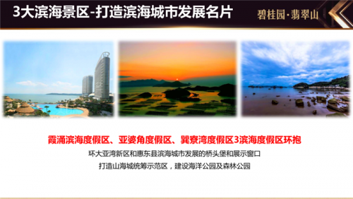 广东惠州大亚湾哪个地段有潜力?哪个户型适合投资