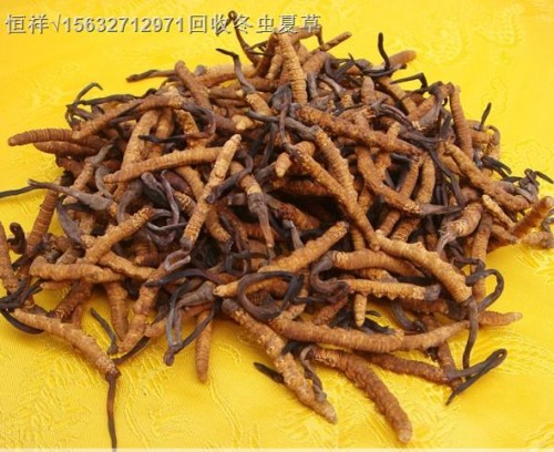 菏泽回收虫草合理价位18611557770菏泽回收同仁堂海参