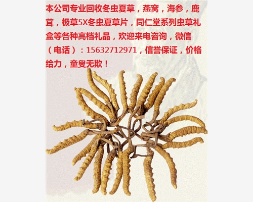 许昌(收购-回收）冬虫夏草丨许昌哪里回收虫草