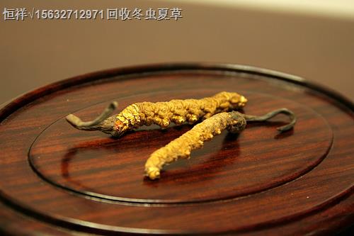 广州冬虫夏草回收价18611557770广州回收01年茅台多少钱