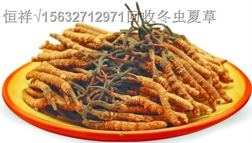 丽水回收冬虫夏草18611557770丽水回收冬虫夏草礼品