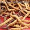 湘潭回收(收购)冬虫夏草丨湘潭回收虫草含片