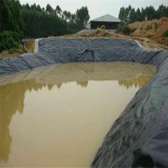 七台河HDPE土工膜价格优惠