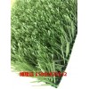 出厂价:安庆绿植塑料草挡墙