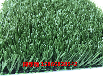 特性:遂宁草皮墙面1厘米人造草坪