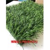 尺寸图解:随州绿化人造草坪布