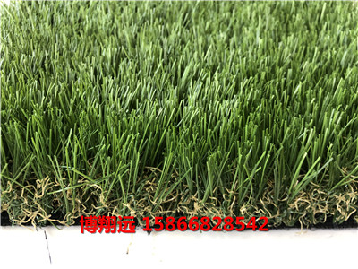 南开塑料草皮绿化墙体技术服务