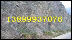 博湖度格栅网，堤坡防护网供应现货