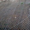 岳普湖堤坡防护网，高强度格栅网生产厂家