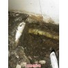 新闻:兰州榆中管网漏水检测设备