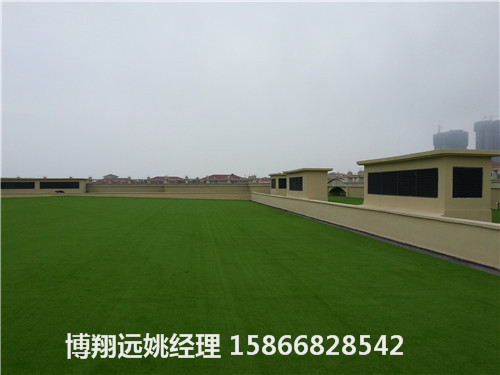 人造草坪施工--荆州企业欢迎您