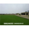 楼顶铺人造草坪--滁州面层价格
