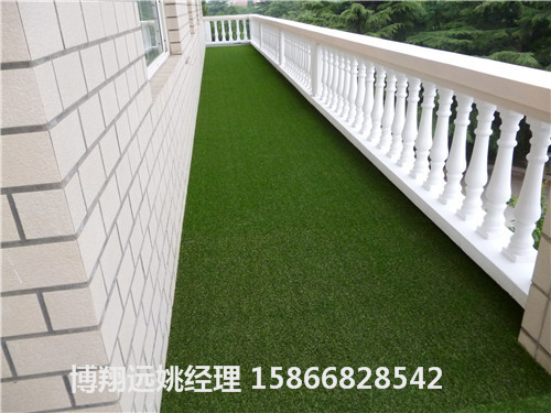 漳浦塑料草坪多少钱一米(面积大小)