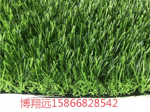 鲤城塑料草皮一平方价格(3月新品)