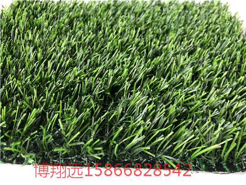 人造草坪施工--荆州企业欢迎您