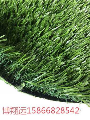 昌邑绿草皮塑料多少钱一平米材料生产
