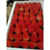 四川红颜草莓大棚亩产量是多少