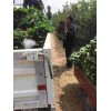 西藏章姬草莓苗大棚种植使用什么底肥