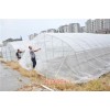 新闻:醴陵塑料防虫网厂家，防虫网