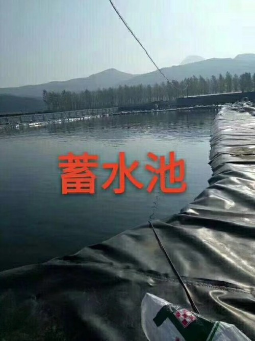 新闻：东营人工湖复合防渗膜1000克生产厂家