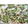 湖北喜蛙蛙生态农业青蛙养殖加盟青蛙养殖多少钱(推荐商家)(图