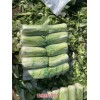 新闻:秦皇岛昌黎北京三号白菜代收-秦皇岛玲珑黄价格(推荐阅读
