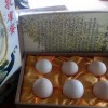 凤城常年大量回收非洲鸵鸟，有鸵鸟的来换钱了联系电话1317317555