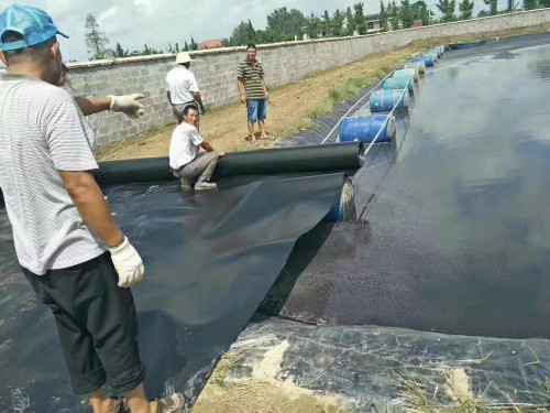 新闻：鸡西免硬化蓄水池防渗膜10元生产厂家hy