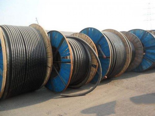 滨江电缆线回收今日多少钱一米
