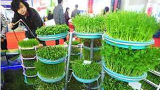 诸城到伊春物流专线电话.