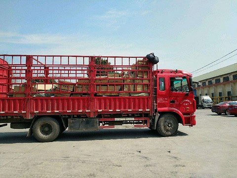 昌乐到沧州物流运费/