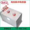 赛福电子 高压储能 充退磁机电容1000VDC 5000uF